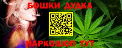 сатива Владивосток