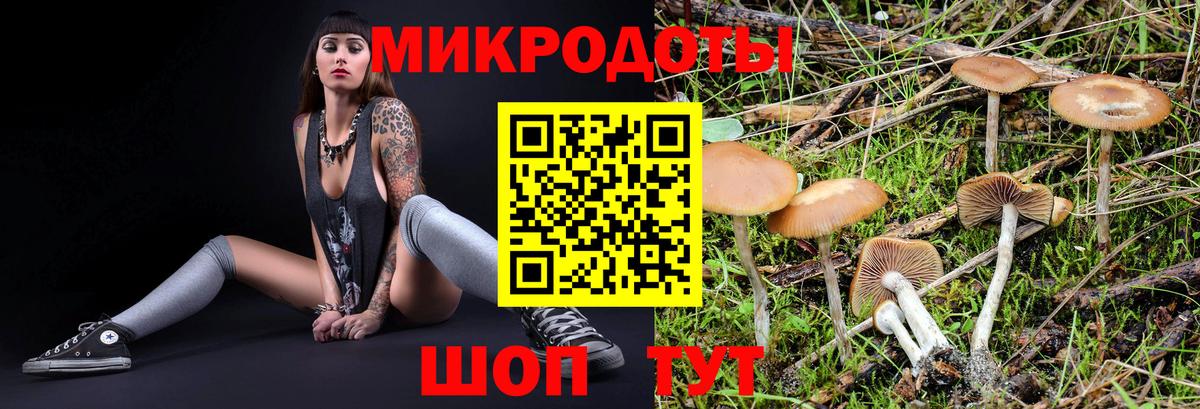 Галлюциногенные грибы ЛСД  Вход с VPN  Галлюциногенные грибы ЛСД  Кириши 