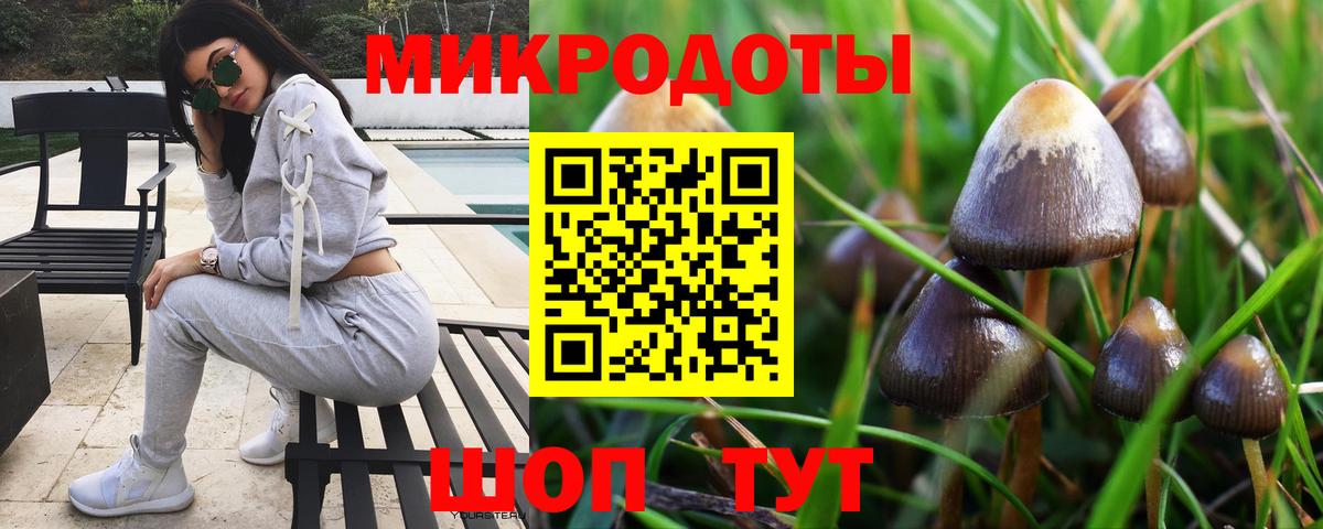Галлюциногенные грибы Cubensis Кириши