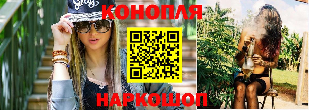 Марихуана сатива Кириши